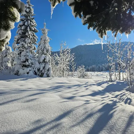 Nattersbergalm ライト・イム・ヴィンクル