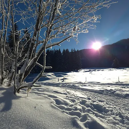 Nattersbergalm * ライト・イム・ヴィンクル