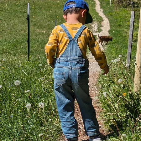 Nattersbergalm ファームステイ ライト・イム・ヴィンクル