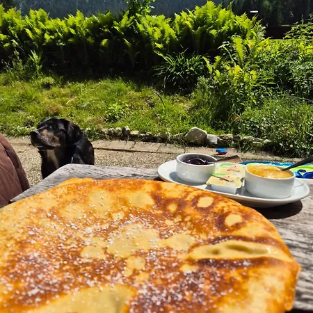 Nattersbergalm ライト・イム・ヴィンクル