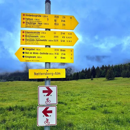 Alojamento de Turismo Rural Nattersbergalm Reit im Winkl