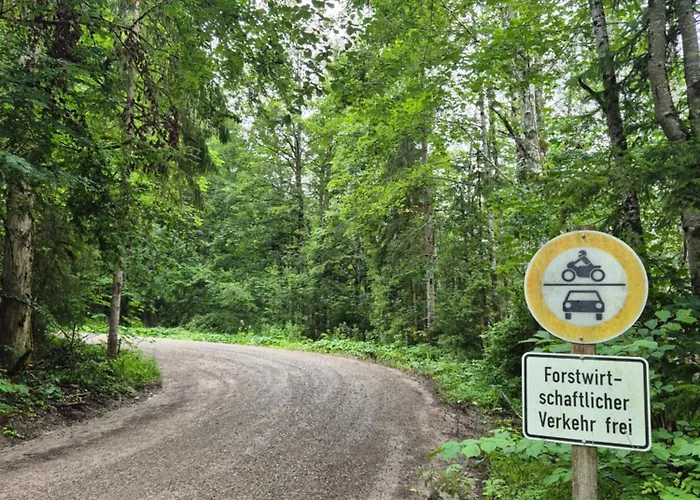 Nattersbergalm Farm stay Reit im Winkl